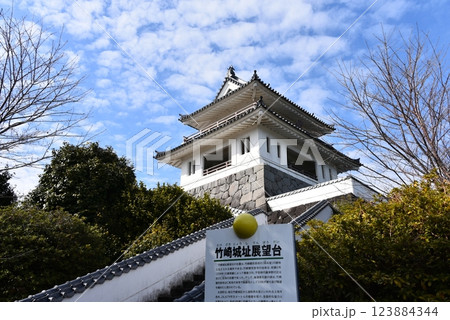 竹崎城址展望台 123884344