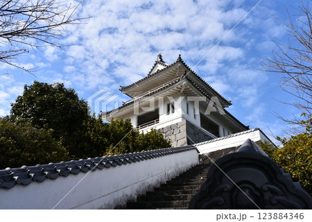 竹崎城址展望台 123884346