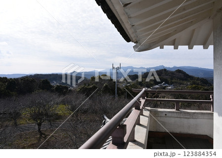 竹崎城址展望台 123884354