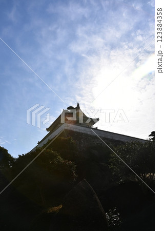 竹崎城址展望台 123884358