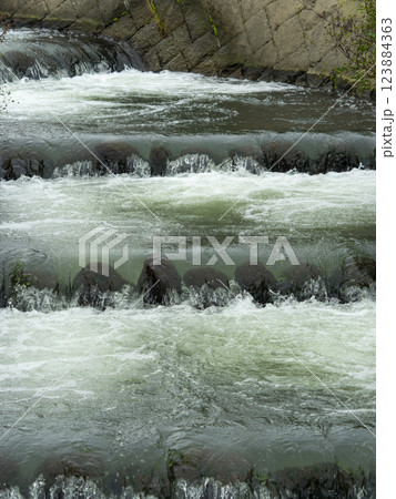 石川嶋井堰の魚道 123884363