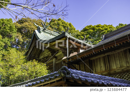 防府　玉祖神社　本殿　山口県防府市 123884477