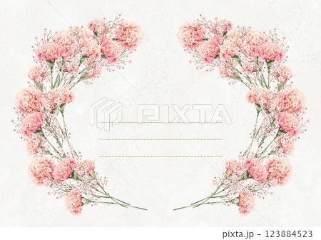 カーネーションの花のメッセージカードフレーム カーネーションの花のメッセージカードフレーム 123884523