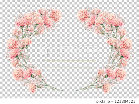 Carnation flower message card frame 123884523