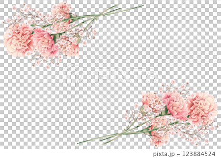 Carnation flower frame 123884524