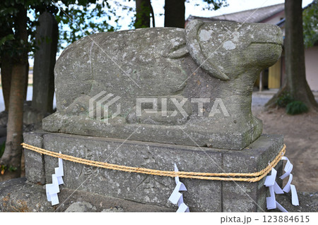 菅沼天神社　境内　牛天神　深谷市　　　　 123884615