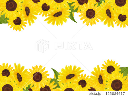 横に並んだひまわりの花の背景イラスト 横に並んだひまわりの花の背景イラスト 123884617