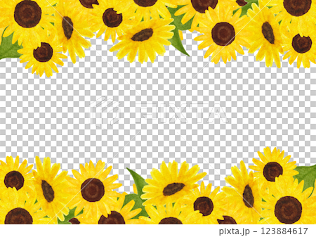 横に並んだひまわりの花の背景イラスト 横に並んだひまわりの花の背景イラスト 123884617