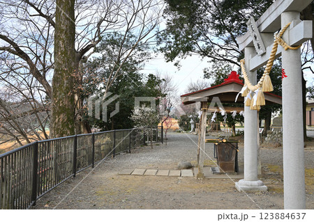 菅沼天神社　境内　深谷市　　　　 123884637