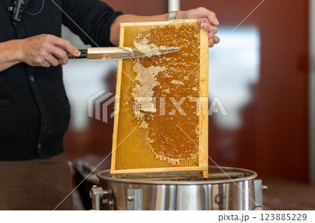 蜜刀でハチの巣から蜜を採取する瞬間 蜜刀でハチの巣から蜜を採取する瞬間 123885229