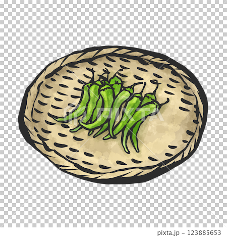 手繪綠色辣椒插圖 123885653