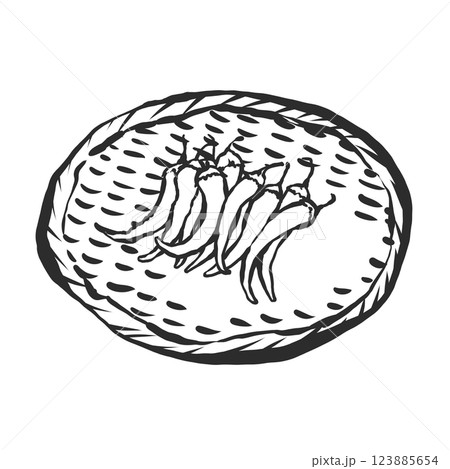 青唐辛子の手描き筆絵風イラスト 123885654