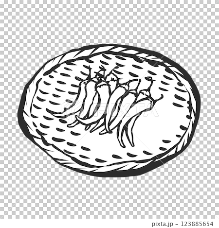 青唐辛子の手描き筆絵風イラスト 123885654