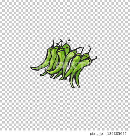 Hand-drawn illustration of green chili peppers Hand-drawn illustration of green chili peppers 123885655