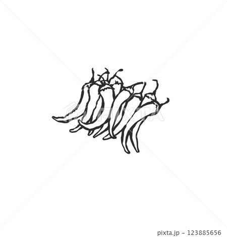 唐辛子の手描き筆絵風イラスト 123885656