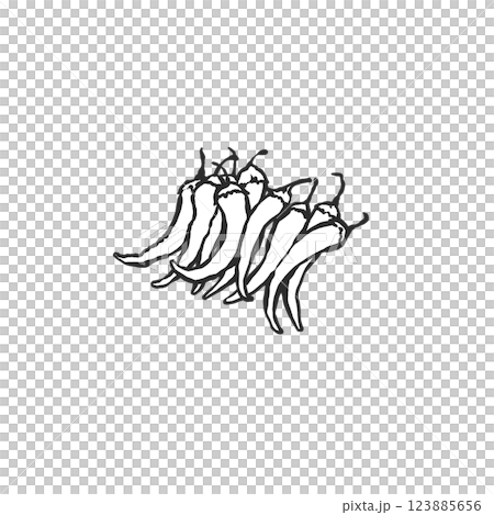 唐辛子の手描き筆絵風イラスト 123885656