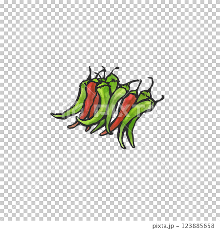 手繪綠色辣椒插圖 123885658