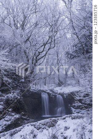 富士吉田市鐘山の滝の雪景色 富士吉田市鐘山の滝の雪景色 123885716