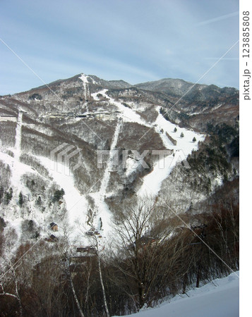Snowy Higashi-tateyama @Shigakogen / 冬の志賀高原・東館山 123885808