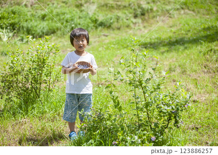 ブルーベリーを摘む男の子 123886257