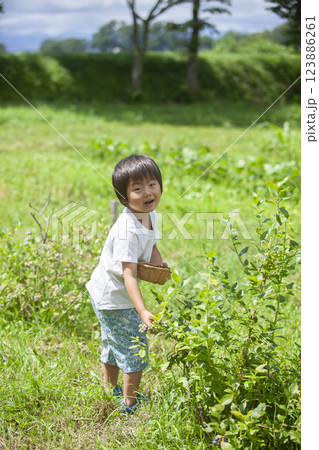 ブルーベリーを摘む男の子 123886261