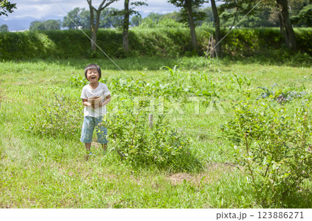 ブルーベリーを摘む男の子 ブルーベリーを摘む男の子 123886271