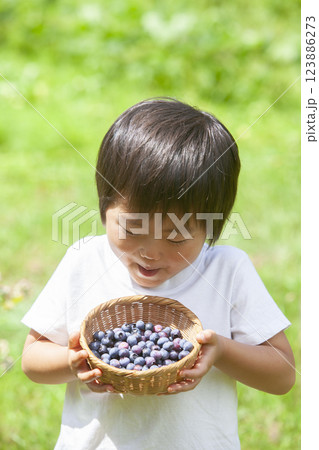 ブルーベリーを摘む男の子 123886273