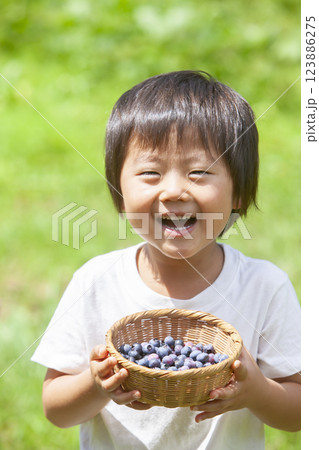 ブルーベリーを摘む男の子 ブルーベリーを摘む男の子 123886275