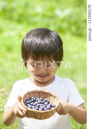 ブルーベリーを摘む男の子 ブルーベリーを摘む男の子 123886276