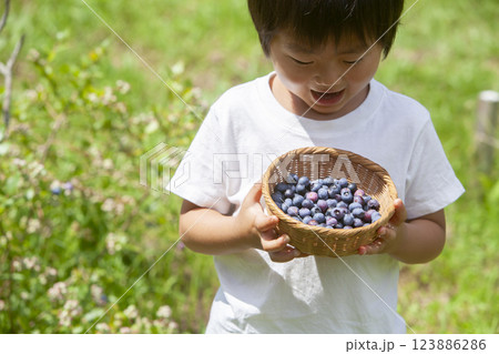 ブルーベリーを摘む男の子 123886286