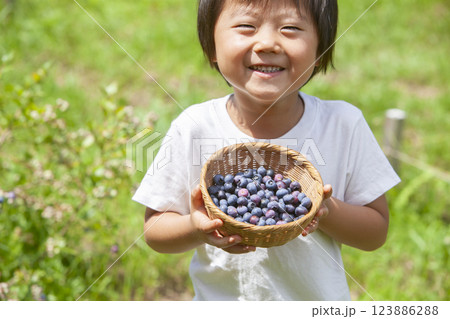 ブルーベリーを摘む男の子 123886288