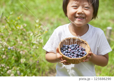 ブルーベリーを摘む男の子 ブルーベリーを摘む男の子 123886290