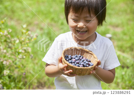 ブルーベリーを摘む男の子 123886291