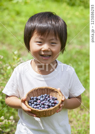 ブルーベリーを摘む男の子 123886293