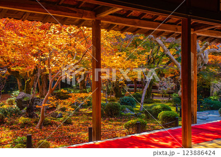 【京都風景】圓光寺　絶景の紅葉をいつまでも見ていたい美しさ 123886424
