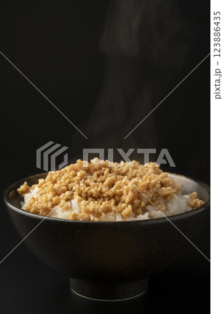 鶏そぼろをかけたご飯 鶏そぼろをかけたご飯 123886435