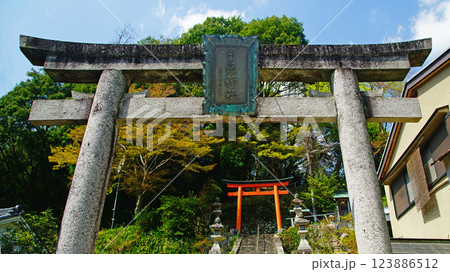 長谷寺　桜　奈良県 123886512