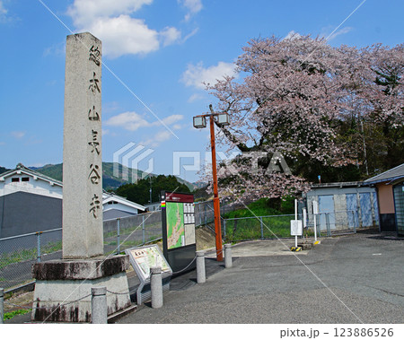 長谷寺 桜 奈良県 長谷寺 桜 奈良県 123886526