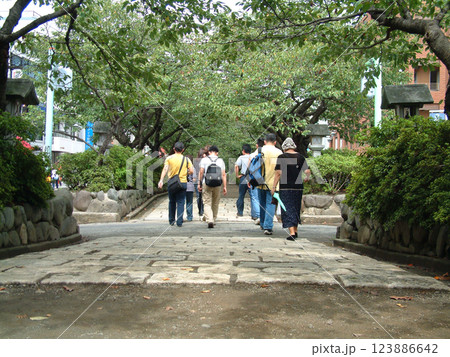 Worshipper's path @Kamakura / 鶴岡八幡宮へ向かう参道 若宮大路 @鎌倉 Worshipper's path @Kamakura / 鶴岡八幡宮へ向かう参道 若宮大路 @鎌倉 123886642