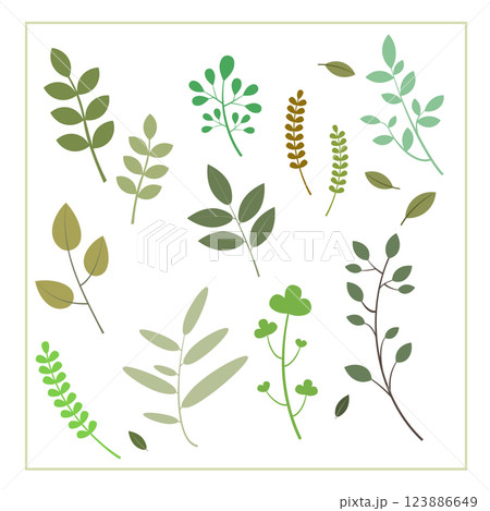 Collection of leaf element illustration images Collection of leaf element illustration images 123886649