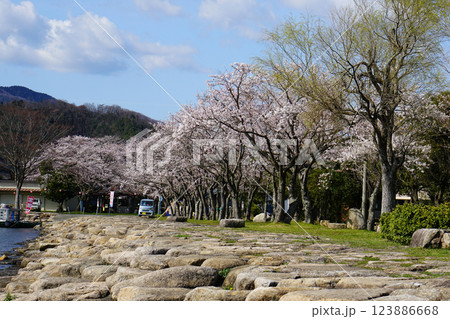 湖岸緑地大浦園地 滋賀県 湖岸緑地大浦園地 滋賀県 123886668