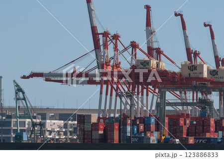 コンテナ埠頭 コンテナ埠頭 123886833