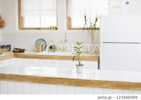 明るいキッチン　台所イメージ 123886899