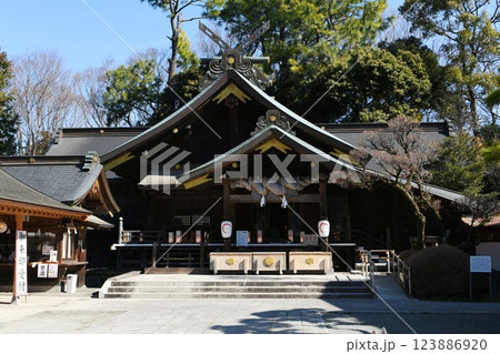 【秦野市「出雲大社相模分祠」拝殿】 123886920