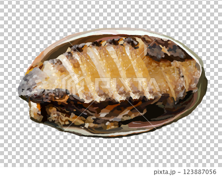 焼きアワビ（調理） 123887056