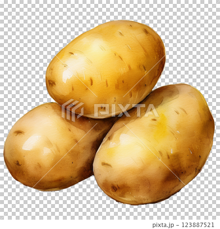 Potato illustration material (JPEG/PNG) 123887521