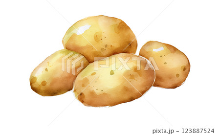 ジャガイモのイラスト素材（JPEG/PNG) 123887524