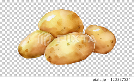 ジャガイモのイラスト素材（JPEG/PNG) 123887524