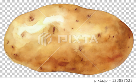ジャガイモのイラスト素材（JPEG/PNG) 123887525