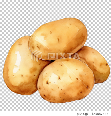 ジャガイモのイラスト素材（JPEG/PNG) 123887527